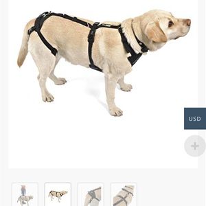 Support Harness OrtoCanis (Front Only)